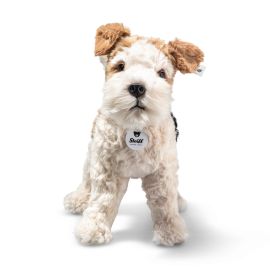 Foxy Foxterrier 32 bunt