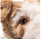 Foxy Foxterrier 32 bunt