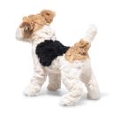 Foxy Foxterrier 32 bunt