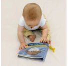 Fehn Fotoalbum Otter