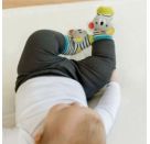 Fehn Rasselsocken Koala