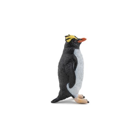 Goldschopfpinguin