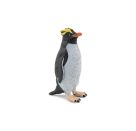 Goldschopfpinguin
