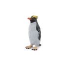 Goldschopfpinguin