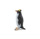 Goldschopfpinguin