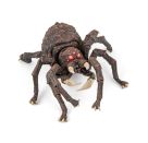 Arachnos