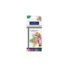 GoFa Aqua Karton 12er Tropica