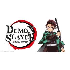 Demon Sl. Puzzle300 T.V02