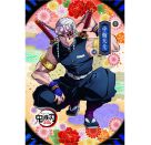 Demon Sl. Puzzle 300T. V06