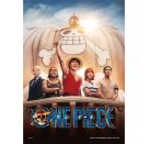 One Piece Straw 500 Teile