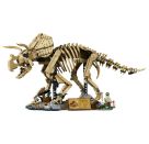 LEGO® Jurassic World™ 77985 Dinosaurier-Fossilien: Triceratops
