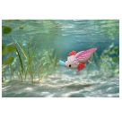 3D Bastelset Axoloti