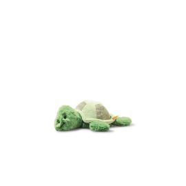 Tuggy Schildkroete 27 gruen