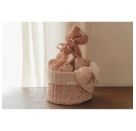 Rassel Blume Fairy Garden