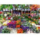 Blumenmarkt, Frankreich