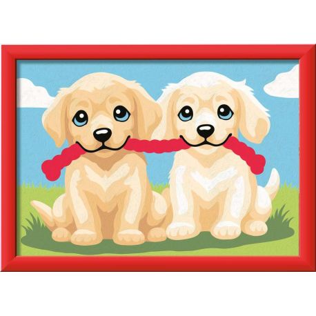 Spielende Hunde