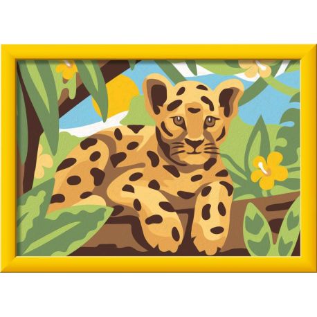 Baby Leopard