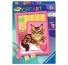 Maine-Coon-Kätzchen