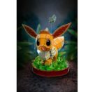 FDP Pokemon - Evoli