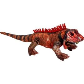 Roter Leguan