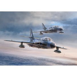 Hawker Hunter T.7/T.7A, Revell Modellbausatz