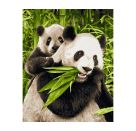 Malen nach Zahlen - Pandabären