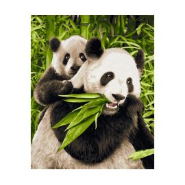 Malen nach Zahlen - Pandabären