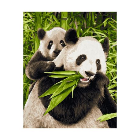 Malen nach Zahlen - Pandabären