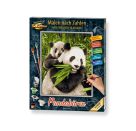 Malen nach Zahlen - Pandabären