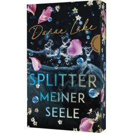 Splitter meiner Seele