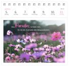 Postkartenkalender 365 Tage Gelassenheit 2027