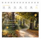 Postkartenkalender 365 Tage Achtsamkeit 2027