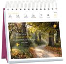 Postkartenkalender 365 Tage Achtsamkeit 2027