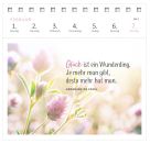 Postkartenkalender Lebensweisheiten 2027
