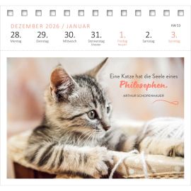 Postkartenkalender Katzenweisheiten 2027