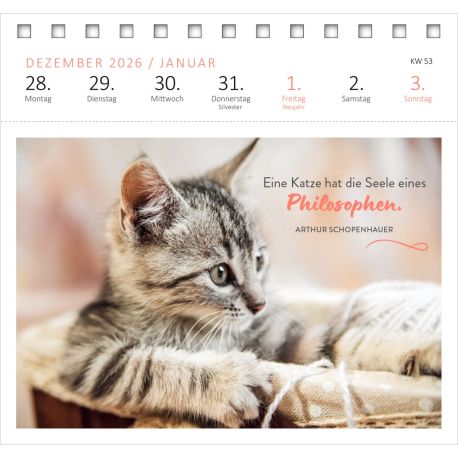 Postkartenkalender Katzenweisheiten 2027