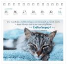Postkartenkalender Katzenweisheiten 2027