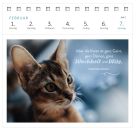 Postkartenkalender Katzenweisheiten 2027