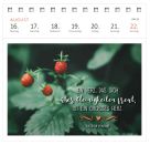 Postkartenkalender Glücksmantras 2027