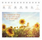 Postkartenkalender Ich wünsch dir was 2027