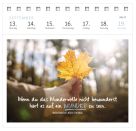 Postkartenkalender Ich wünsch dir was 2027