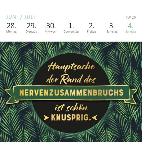 Mini-Wochenkalender Bevor ich mich jetzt aufrege, ist es mir lieber egal!  2027