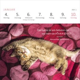Mini-Wochenkalender Katzenweisheiten 2027