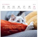 Mini-Wochenkalender Katzenweisheiten 2027