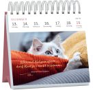 Mini-Wochenkalender Katzenweisheiten 2027