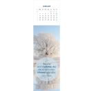 Lesezeichenkalender Weisheiten der Bäume 2027