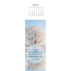 Lesezeichenkalender Weisheiten der Bäume 2027