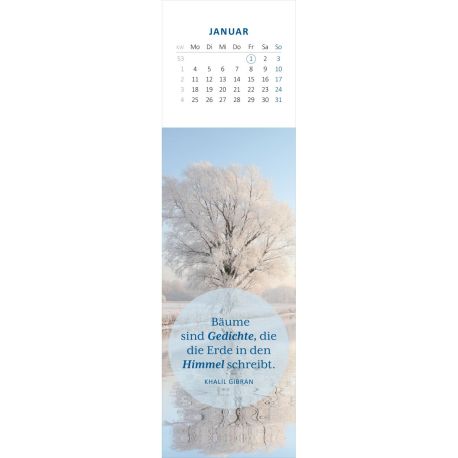 Lesezeichenkalender Weisheiten der Bäume 2027
