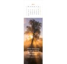 Lesezeichenkalender Weisheiten der Bäume 2027