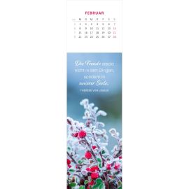 Lesezeichenkalender Glücksmomente für die Seele 2027